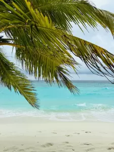 Фотография Счастливое путешествие 4